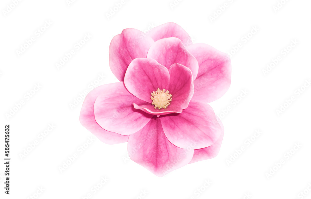 fantastic flower with pink petals. beautiful image isolated on white background. ideal for the representation of a perfume, aroma or expression of spring summer or freshness fantastic flower with pink petals. beautiful image isolated on white background. ideal for the representation of a perfume, aroma or expression of spring summer or freshness