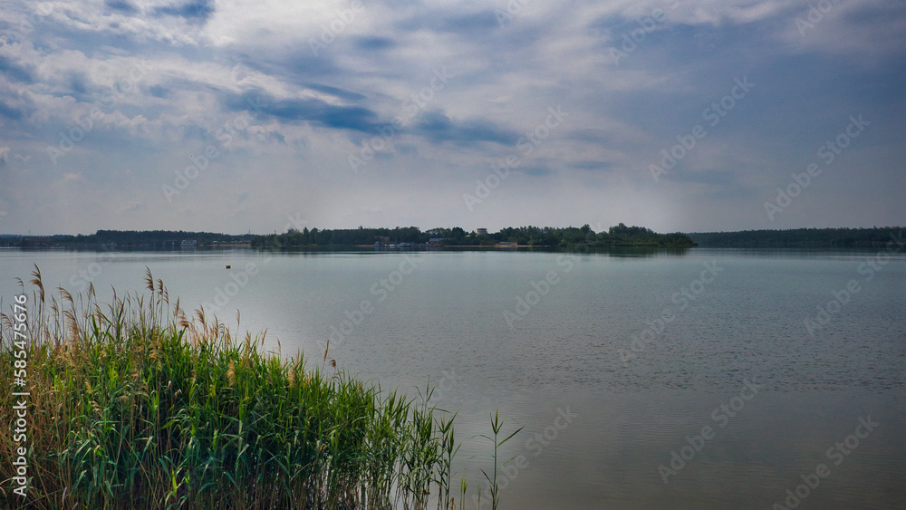 Ufer mit Schilf, Blick auf den Störmthaler See bei Leipzig, Markkleeberg, Sachsen, Deutschland