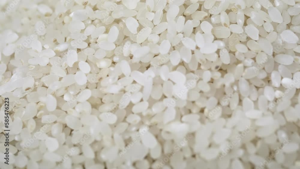 Close-up Stream of Falling White Raw Grains Japanese rice in Slow Motion. Texture of rice. Filling background. Macro. Round rice variety. Abstract background. Structure, harvest. Japanese food. Close-up Stream of Falling White Raw Grains Japanese rice in Slow Motion. Texture of rice. Filling background. Macro. Round rice variety. Abstract background. Structure, harvest. Japanese food.