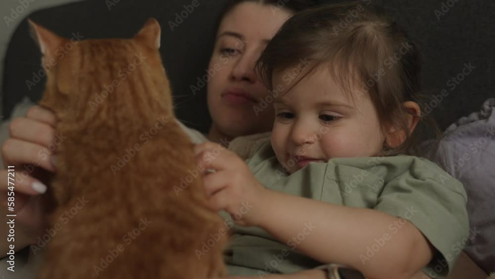 Lovely mother and baby girl cuddling together with cat in bed in the morning. Happy family of young single woman and beautiful daughter. Morning routine. Lovely mother and baby girl cuddling together with cat in bed in the morning. Happy family of young single woman and beautiful daughter. Morning routine.