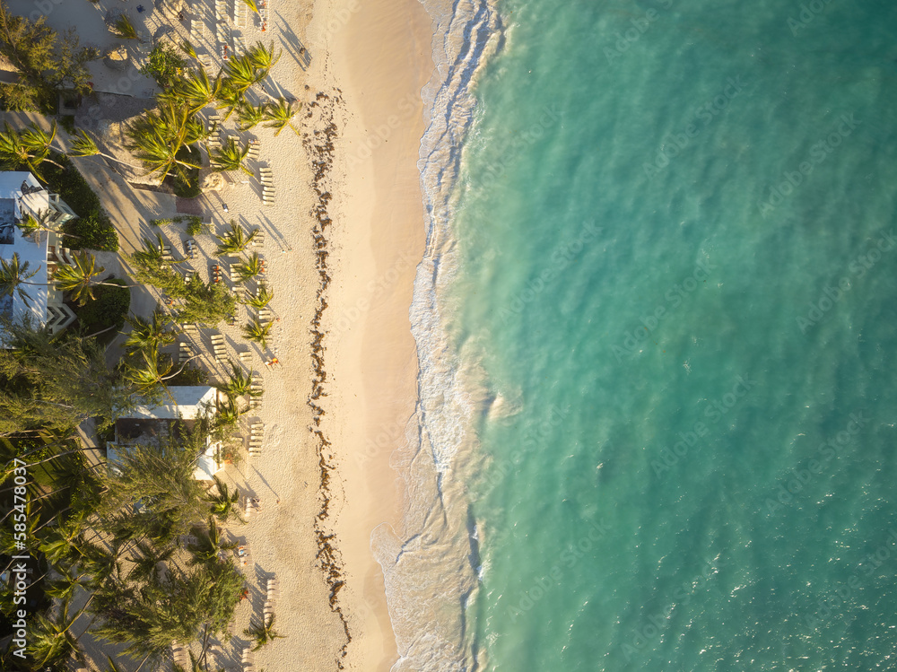 Tropical forest on the beach. View from above. Warm clear sea. Comfortable place to stay. Seaside resort. Leisure, relaxation, tourism, travel. There are no people in the photo.
