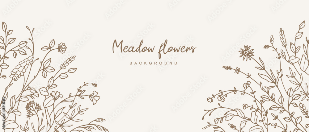 Botanical background with meadow greenery and flowers. Vintage frame, foliage pattern for wedding invitation, wall art and card template. Vector illustration in hand drawn line art style