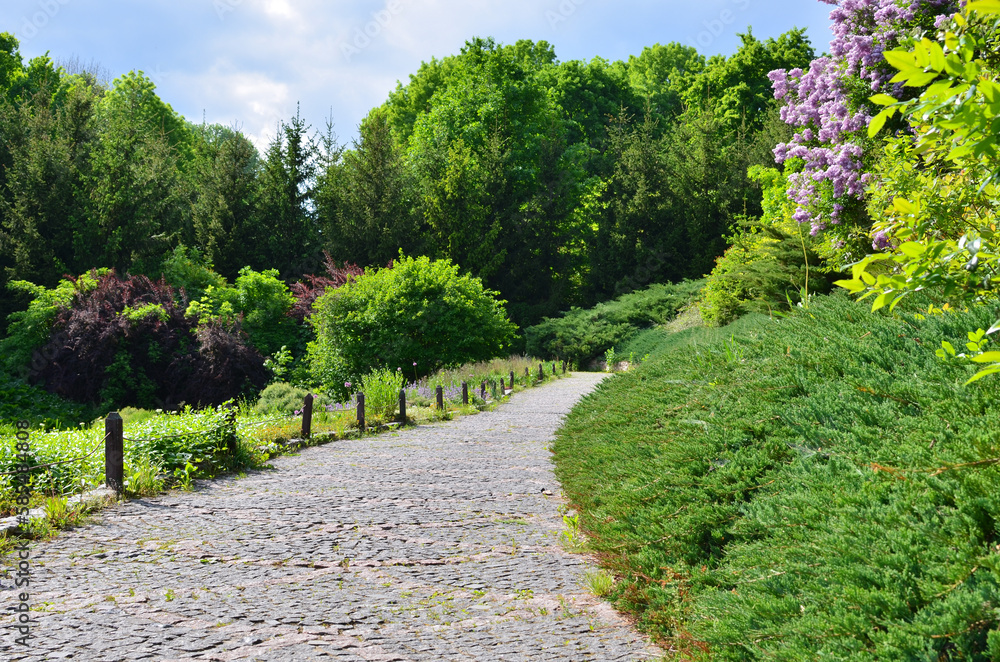 Paving stones path in Sofiivka Park, Uman