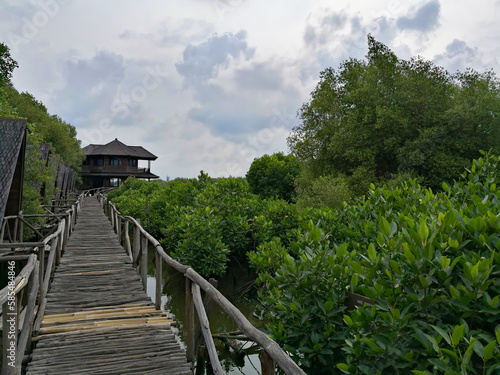 Wooden footbridge over protected mangroves in Jakarta, Indonesia