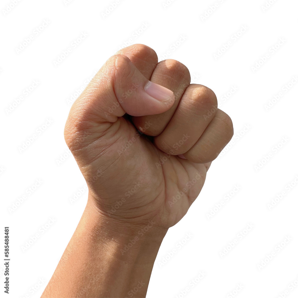 hand with fist hand with fist