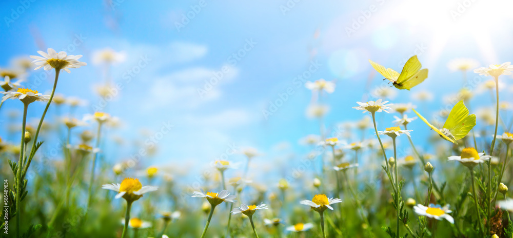 abstract spring nature background with fresh grass and flowers against sunny sky - obrazy, fototapety, plakaty 