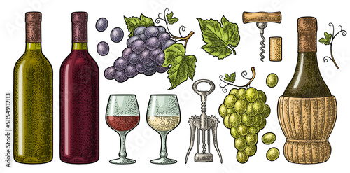 Set for wine shop. Vintage engraving vector illustration isolated on white