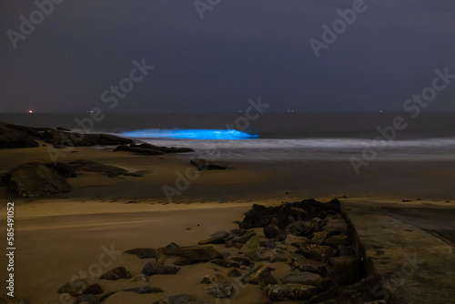 Blue Tears in Kinmen County, Taiwan, which is a Noctiluca scintillans. 金門 藍眼淚 夜光蟲 photo