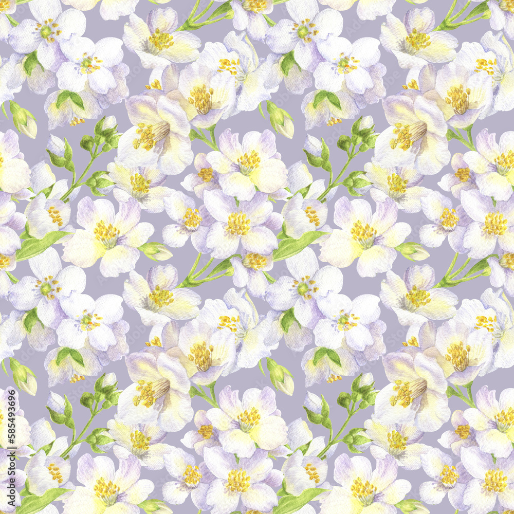 watercolor seamless pattern with flowers of jasmine watercolor seamless pattern with flowers of jasmine