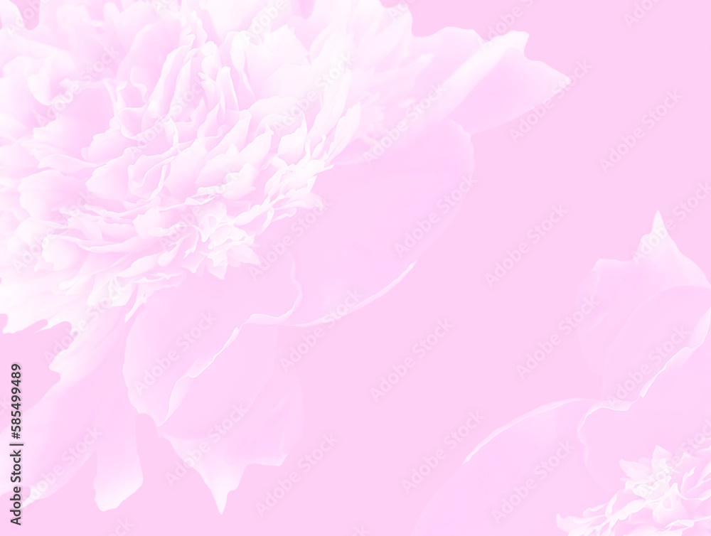Abstract floral backdrop of pink flowers over pastel colors with soft style for spring or summer time. copy space. Abstract floral backdrop of pink flowers over pastel colors with soft style for spring or summer time. copy space.