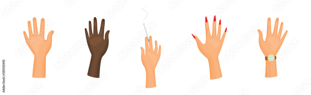 Different Human Right and Left Hands with Palm Raised Up Vector Set