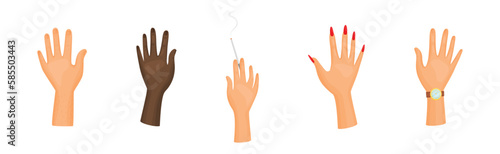 Different Human Right and Left Hands with Palm Raised Up Vector Set