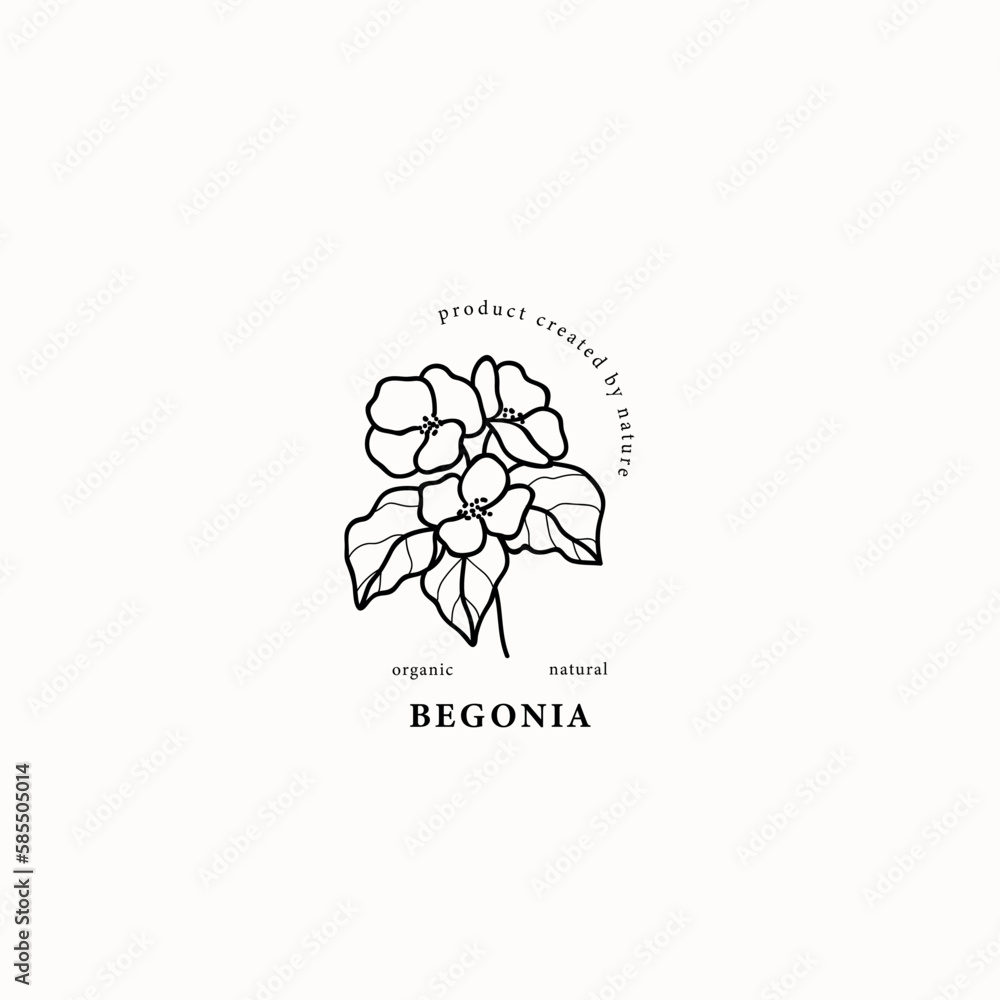 Ταπετσαρία Line art begonia flower illustration
