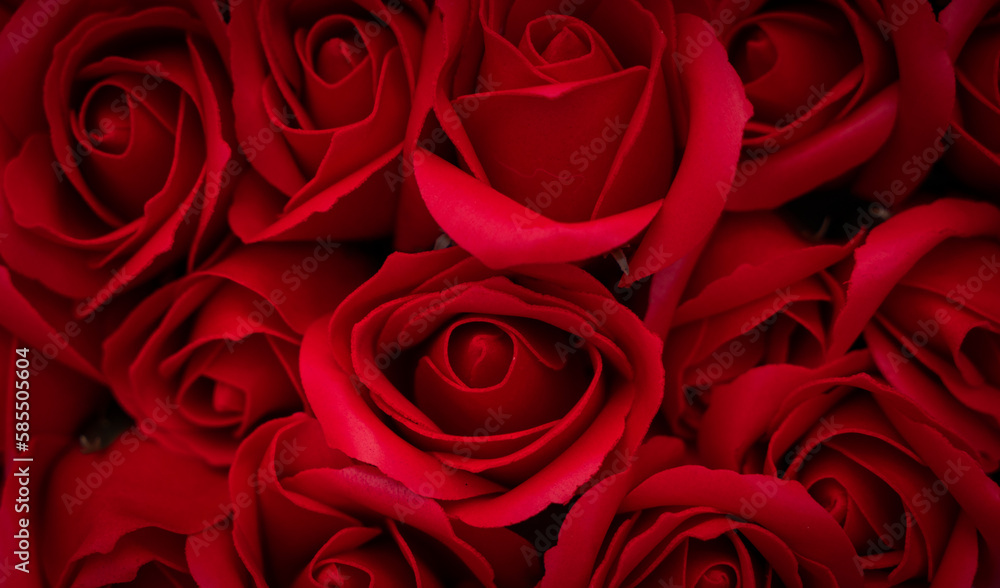 Naklejka premium Red rose wallpaper image, valentines and wedding concept background
