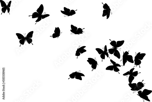 Flying butterflies. Vector decoration element.