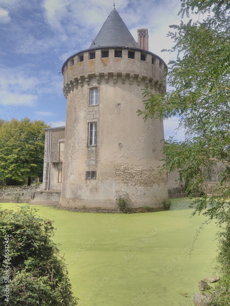 closeup of the old stone tower of the castle of  l'Echasserie surrounded by a green algae filled moat in Vendée, France