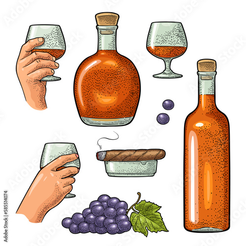 Glass and bottle of cognac, bunch of grapes, cigar and ashtray. Vintage engraving