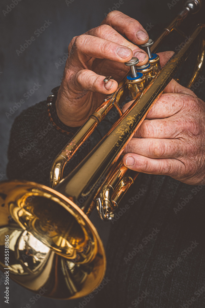 Obraz premium Trompete spielen