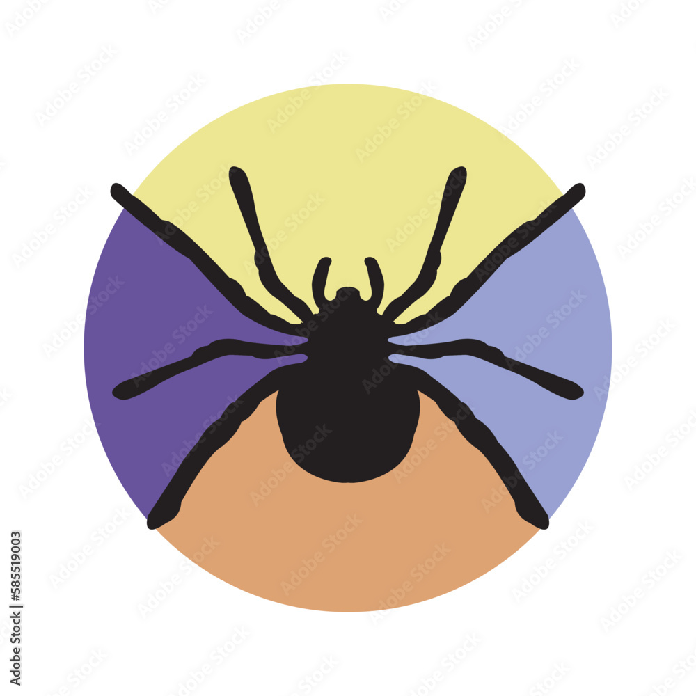 Obraz premium spider icon