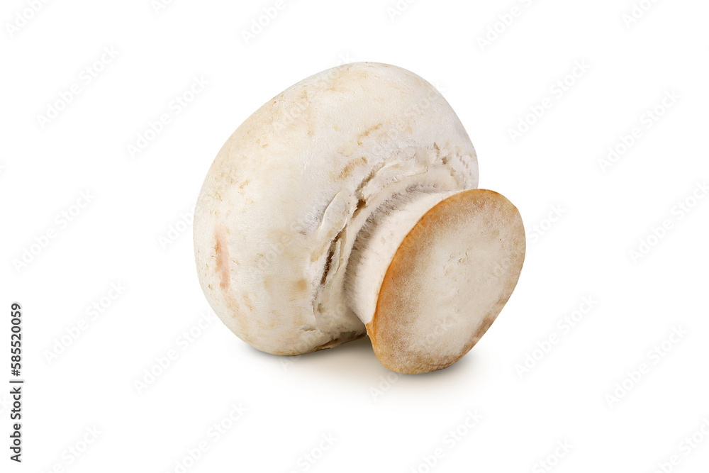 Champignon on an isolated white background Champignon on an isolated white background