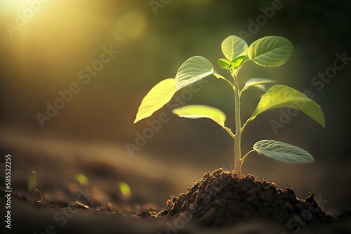 Growing plant seedlings in the ground in sunlight in the garden, Generative AI 6