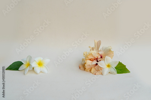 Minimal modern product display on neutral background with wooden podium, tropical flowers photo