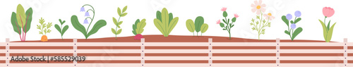 Garden wooden box of different plants planting in ground. Vegetables, berries and flowers. Nature organic seasonal growth, vector decorative banner