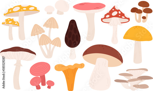 Forest mushrooms set. Chanterelle mushroom, cartoon forest raw ingredients. Isolated amanita, autumn plants and vegetarian food, racy vector set