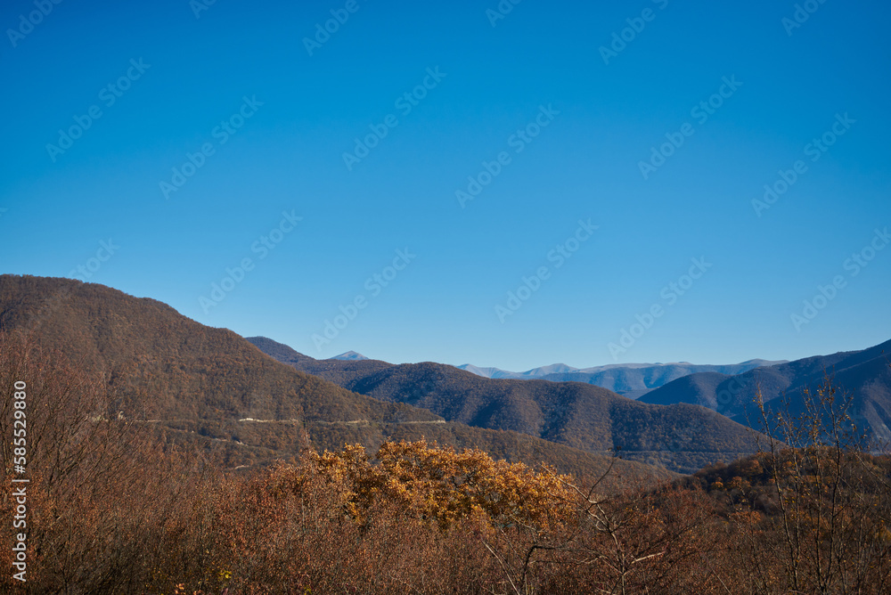 autumn panorama on a clear sunny day overlooking beautiful mountains with blue sky and yellow treetops