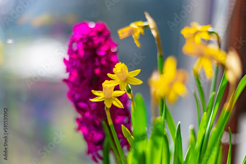 Bloom time.
Beautiful colors of flowers