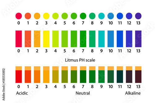 Ph scale litmus test. Acid and alkaline infographic