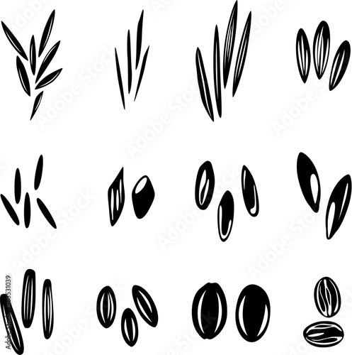Rice grane types collection, Vector isolated silhouettes for design