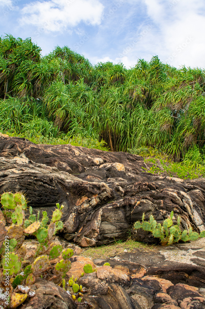 Obraz premium Tropical southern coast of Sri Lanka. Photography for tourism background, design and advertising