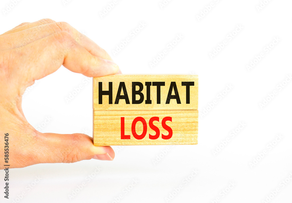Habitat loss symbol. Concept words Habitat loss on wooden block. Beautiful white table white background. Businessman hand. Business habitat loss concept. Copy space. Habitat loss symbol. Concept words Habitat loss on wooden block. Beautiful white table white background. Businessman hand. Business habitat loss concept. Copy space.