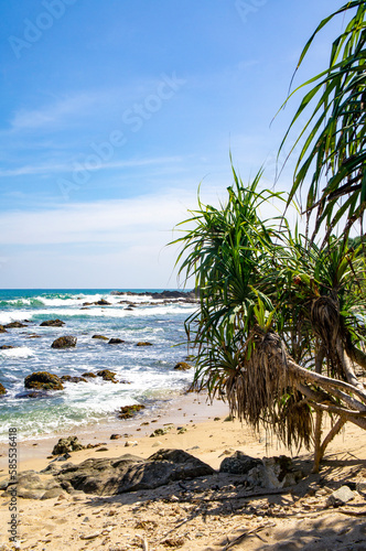 Tropical southern coast of Sri Lanka. Photography for tourism background, design and advertising