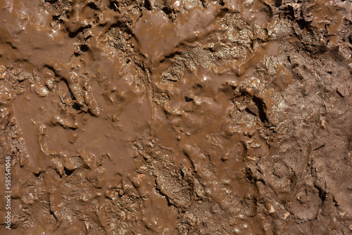 Background image texture of wet clay photo
