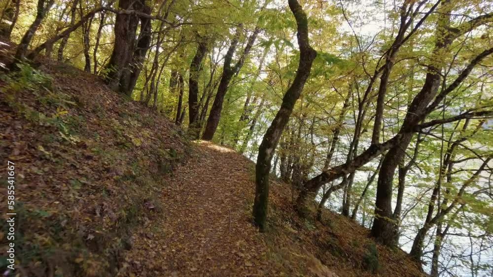 Fit man on mountain bike in autumn forest, cycling on the slippery path with fallen leaves, original point of view Fit man on mountain bike in autumn forest, cycling on the slippery path with fallen leaves, original point of view