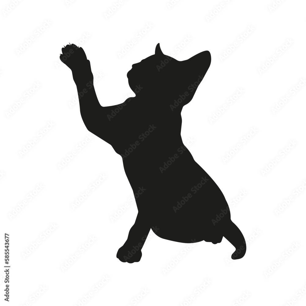 Cat silhouette illustration, sitting cat raises its paw