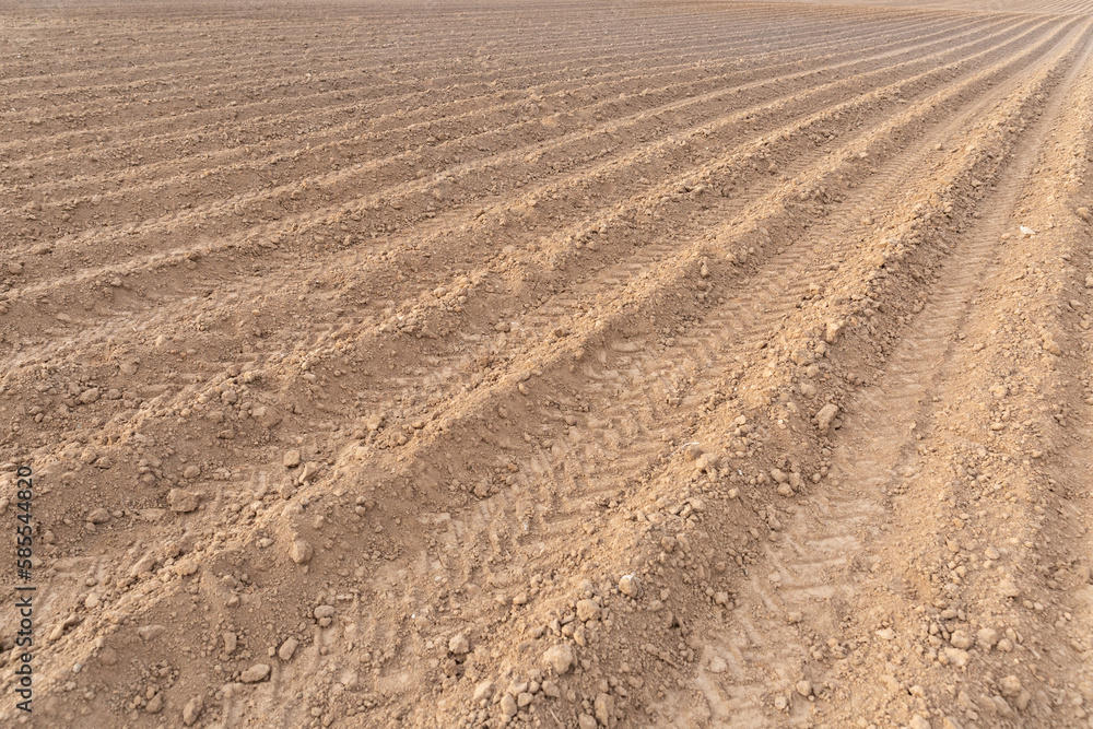 A large plowed agricultural field. The endless ranks of the beds are ready for the growth of the new crop. Slective focus A large plowed agricultural field. The endless ranks of the beds are ready for the growth of the new crop. Slective focus
