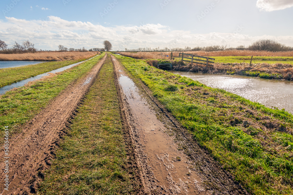 Muddy dirt road with puddles of water in a Dutch polder landscape. There is a ditch on both sides of the road. It is a sunny day with some clouds in the blue sky at the end of the winter season.