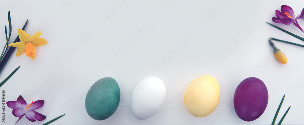 Spring flowers and Easter Eggs isolated on white Background.