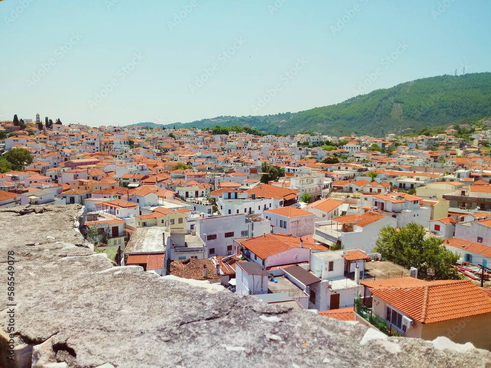 houses on the greek island Skiathos - obrazy, fototapety, plakaty 