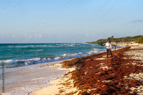 Playa del Carmen, Quintana Roo, Mexico, February 3st , 2023: Sargassum at Colosio Beach photo