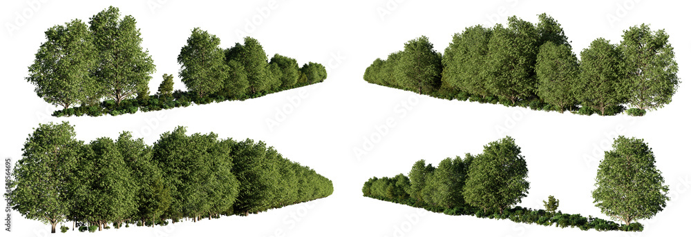 forest landscapes, collection of lush forests-capes with green trees and shrubs, isolated on transparent background