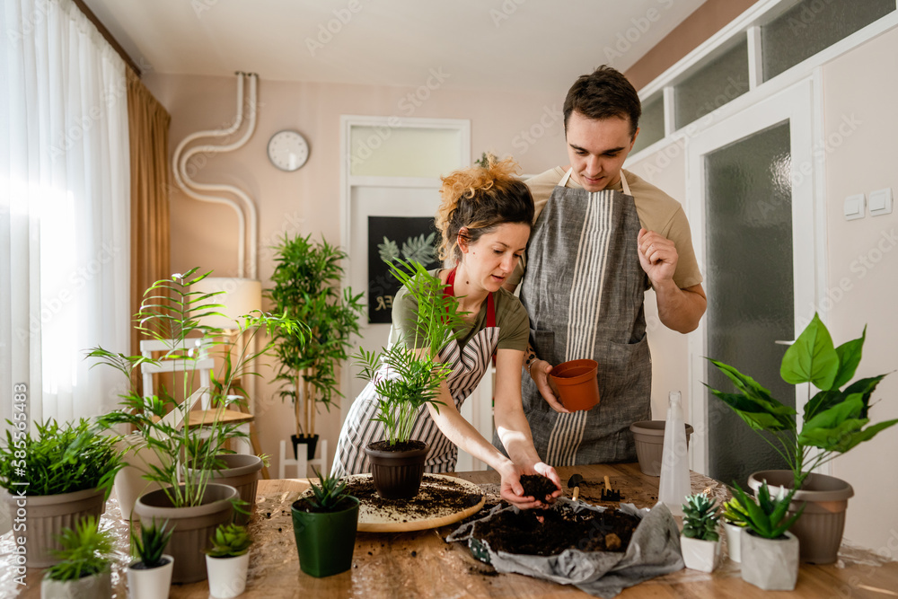Couple caucasian man and woman wife and husband planting flowers together taking care of home plants real people domestic life family gardening concept copy space Couple caucasian man and woman wife and husband planting flowers together taking care of home plants real people domestic life family gardening concept copy space