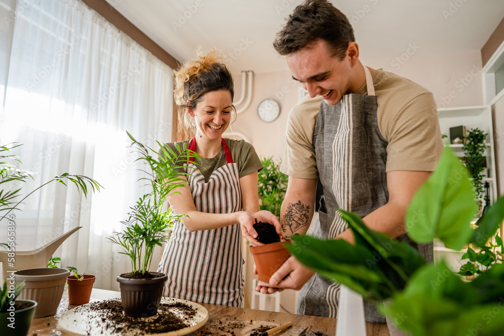 Couple caucasian man and woman wife and husband planting flowers together taking care of home plants real people domestic life family gardening concept copy space Couple caucasian man and woman wife and husband planting flowers together taking care of home plants real people domestic life family gardening concept copy space