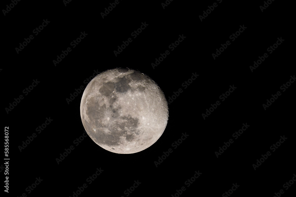 Moon Moon