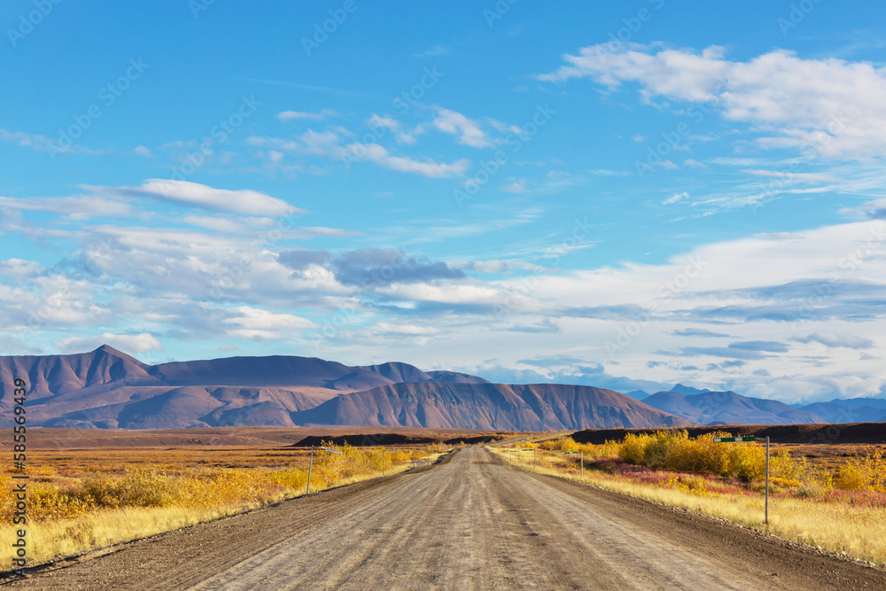 Road in tundra Road in tundra