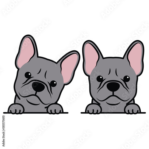 Cute french bulldog puppy blue color cartoon, vector illustration
