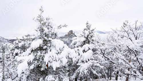 Image of the Ancient/ Abbey of San Michele built on Mount Pirchiriano located at the entrance of the Susa Valley, around the years between 983 and 987 A.D. with an abundant snowfall